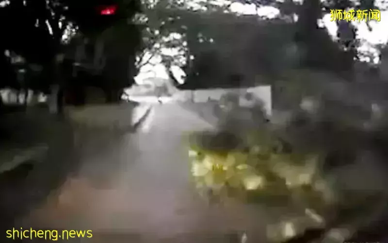 数米长树枝断落 险砸行驶中汽车