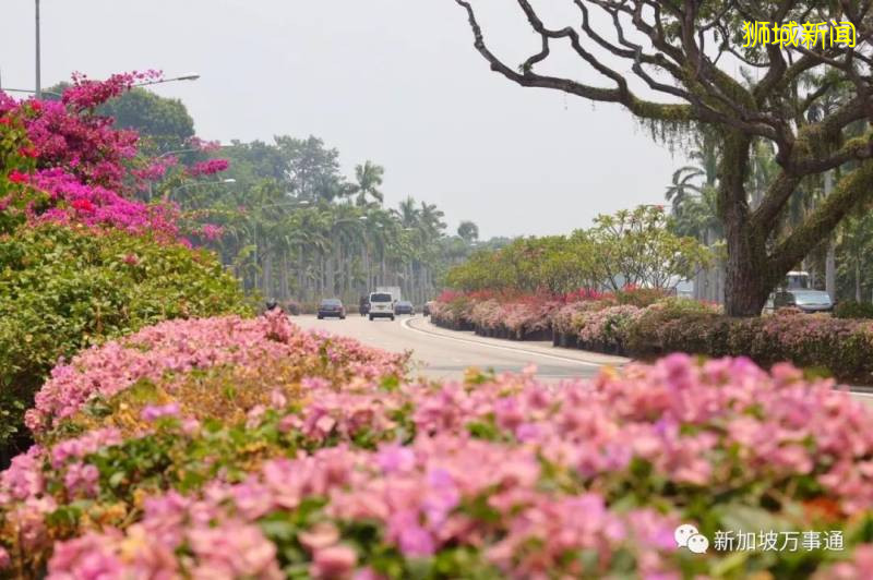 新加坡的“四季”，富有南洋風情的人間煙火氣