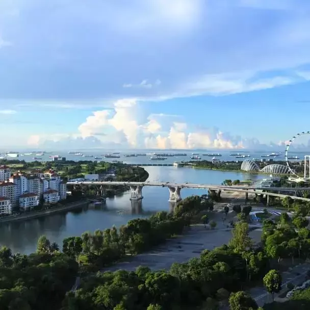 中國人成爲新加坡房産2021上半年最大海外買家，高淨值人士偏好出現新變化