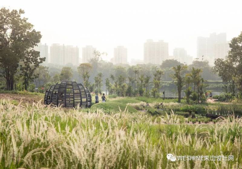 新加坡国家公园裕廊湖花园