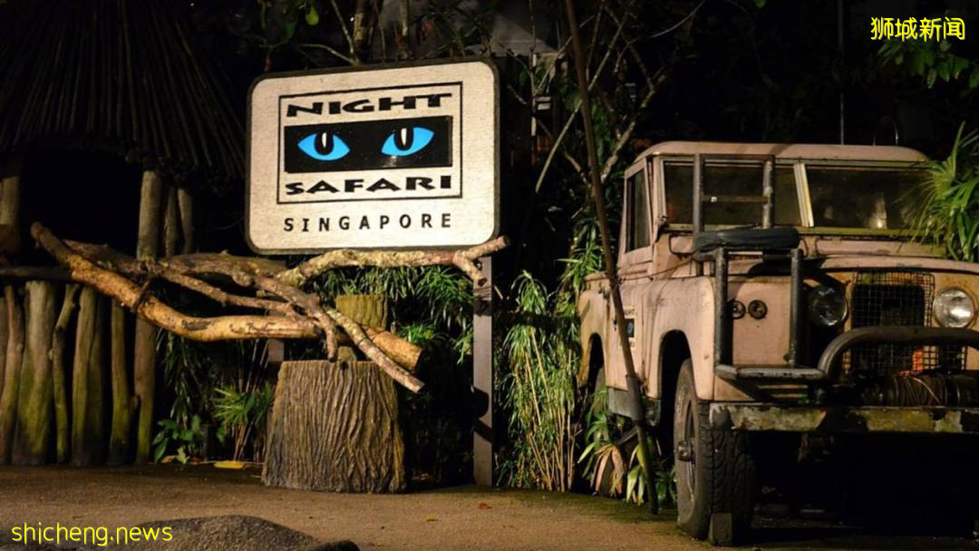 關于新加坡的8個冷知識,你知道幾個