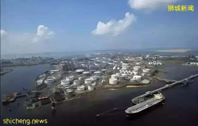 看不見的“右手”和看得見的“左手”—近距離看新加坡