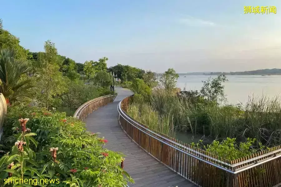 新規劃官宣！跨海長島、混合城市、地下城……未來的新加坡也太科幻了吧