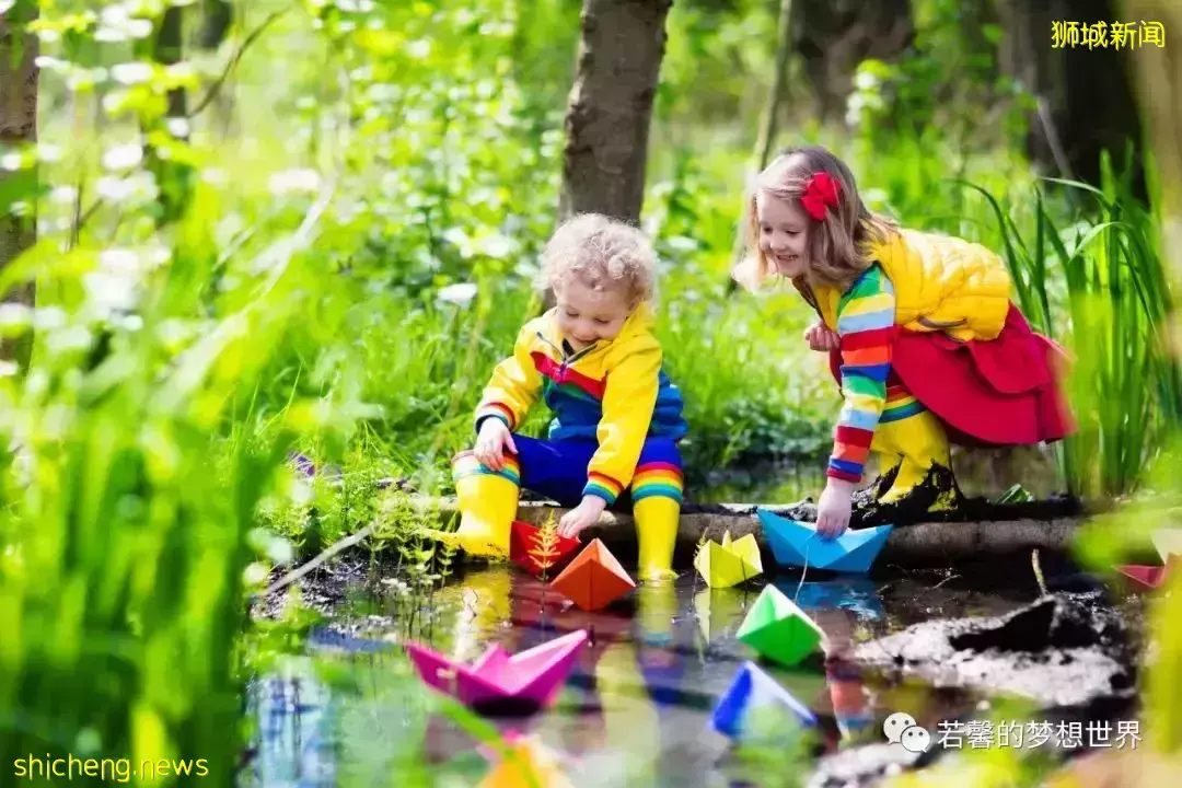 拿著鏟子、放大鏡、昆蟲觀察箱,帶娃去新加坡昆蟲森林冒險