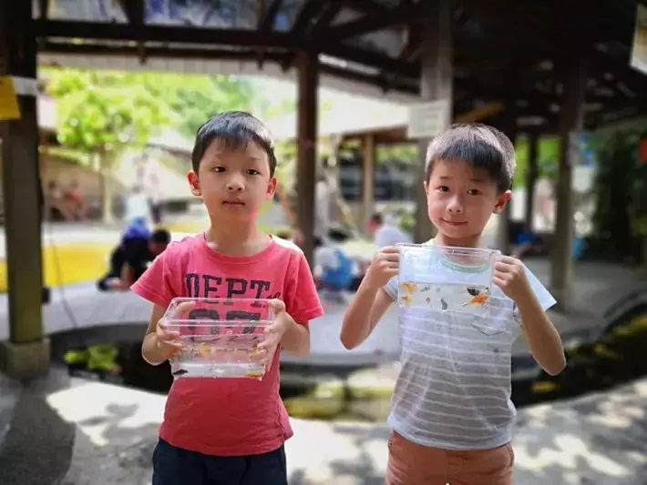 遛娃好去处!捞鱼、鱼疗Spa、参观科普、购买观赏鱼,一站式体验@仟湖渔场