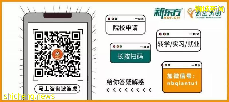 新加坡留学趋势解读:如何选择合适的升学方案!