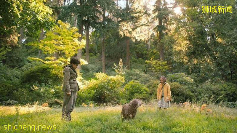 《花木蘭》《八佰》9月定檔新加坡，來看看接下來還有哪些值得期待的電影