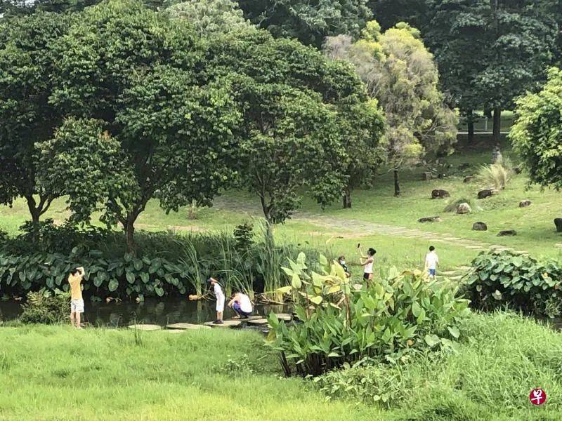 这里是新加坡最大最美的公园之一，它的前身竟然是排水沟、回收山和