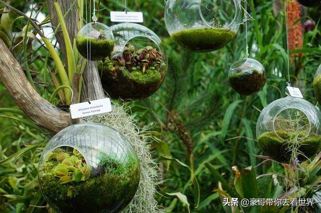 豪哥帶你看世界：新加坡不枉此行的12大看點（下）分三集介紹