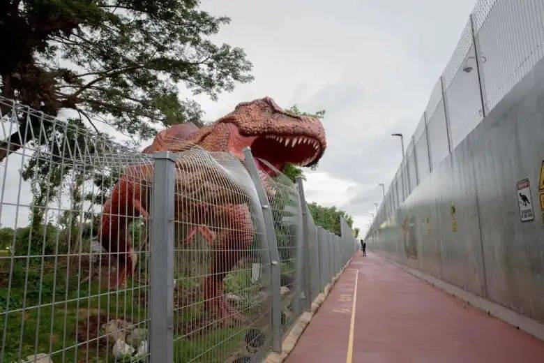 觀鳥、陡坡、嬉水、看夕陽,13條新加坡最美親子騎行路線