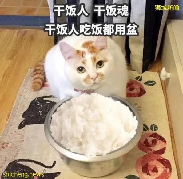 新加坡米其林指南 新加坡米其林一星餐廳再添新成員