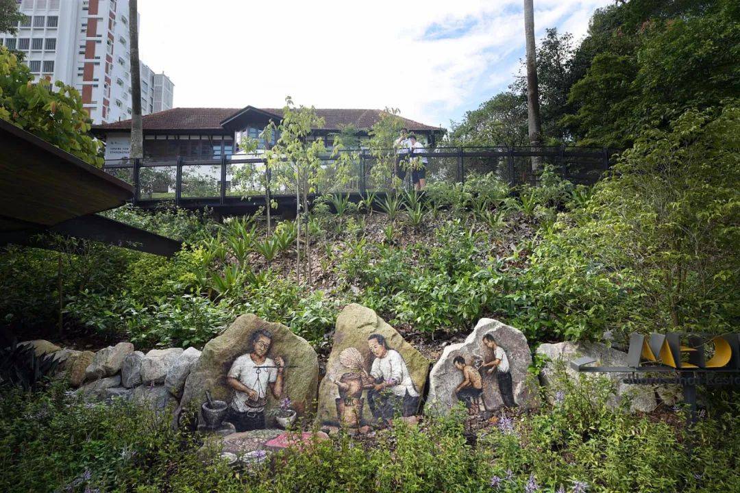 新加坡植物園3月最新兒童樂園,你肯定沒去過!16大遊玩攻略,走起