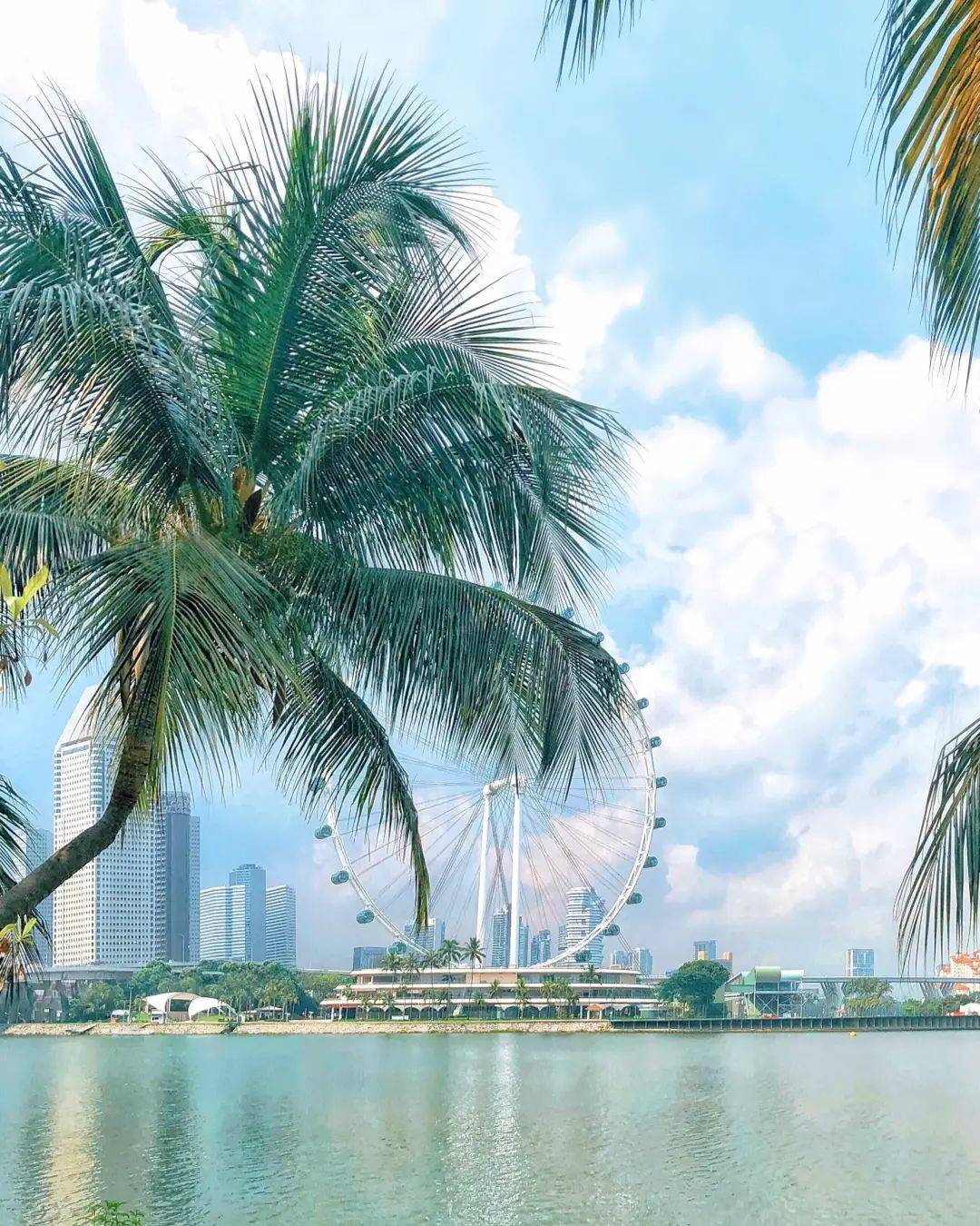 獅城這些“禿”如其來的煩惱,讓它幫你解決