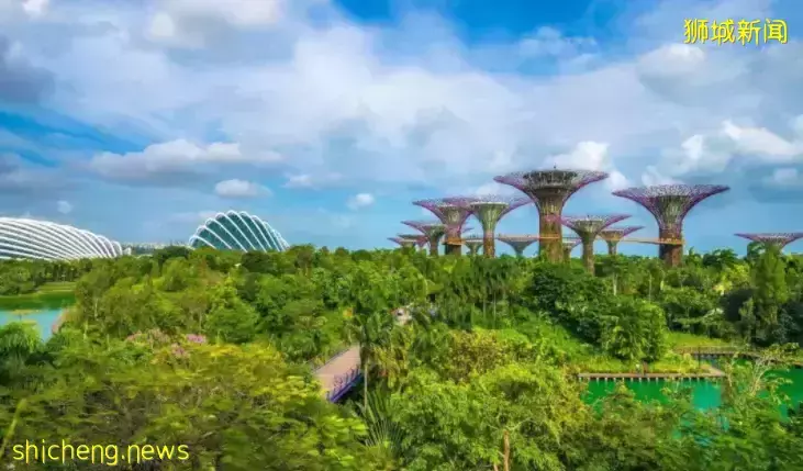 让“碳中和”城市化？亚洲最绿色城市是这么做的