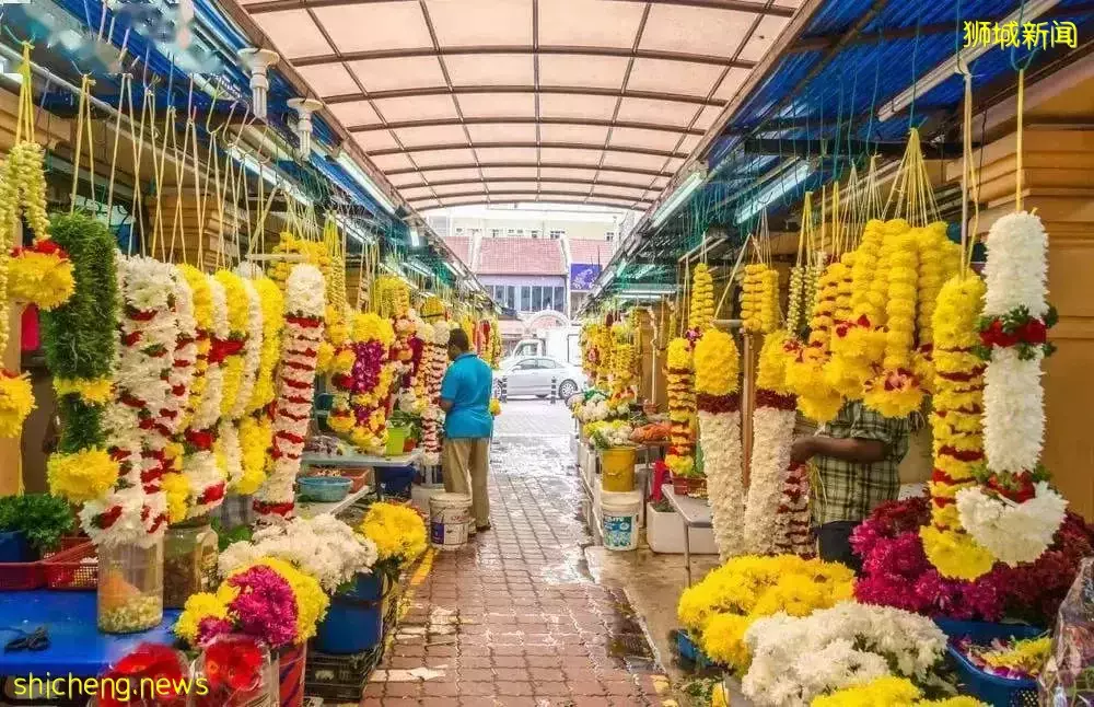 隐身6年、半夜做饭、家有两个老婆......我的新加坡邻居们的神奇故事