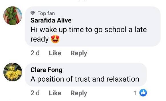 这只水獭爸爸的睡照是我见过最治愈的睡姿