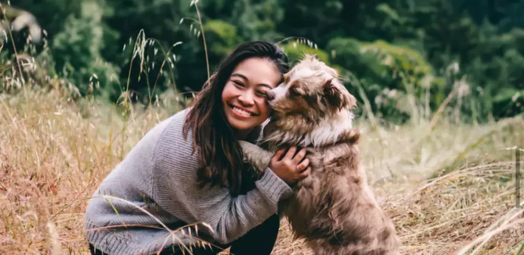 从动物园驯兽师转型为商学院研究助理