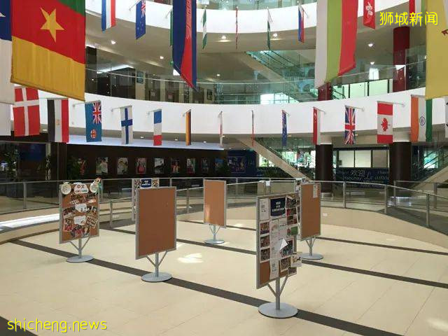 低齡留學新加坡，國際學校怎麽選？IB/A LEVEL/AP課程有何區別