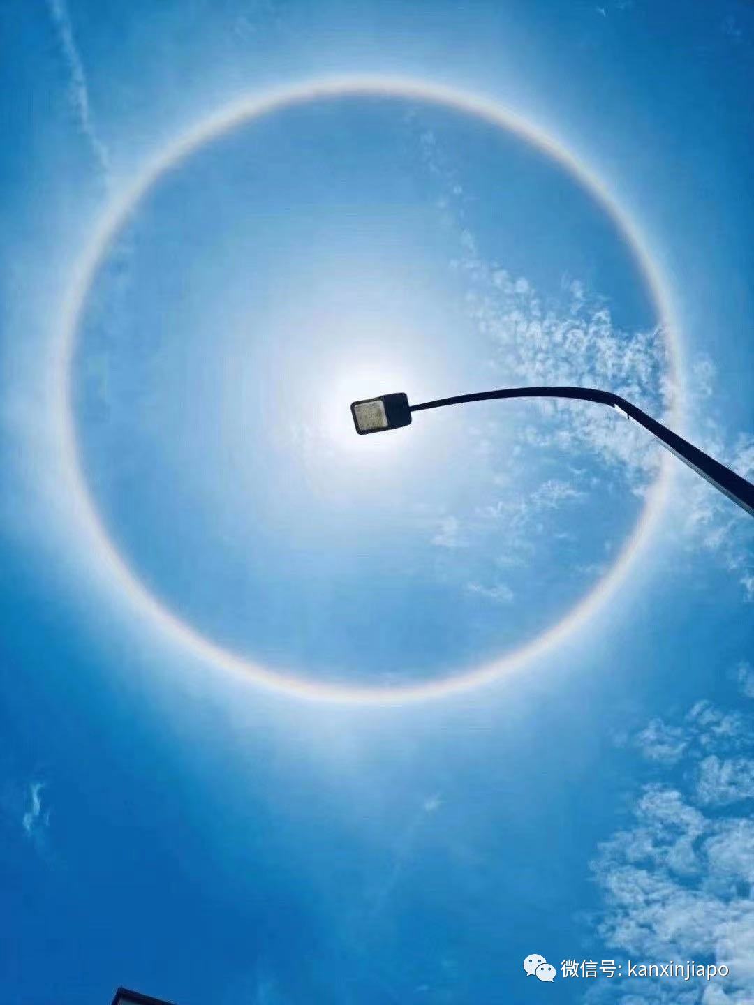 朋友圈刷屏!日晕奇景你们拍到了吗?