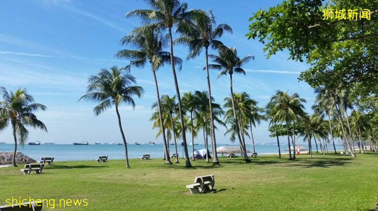 新加坡生活成本太高?一定是你打開的方式不對!