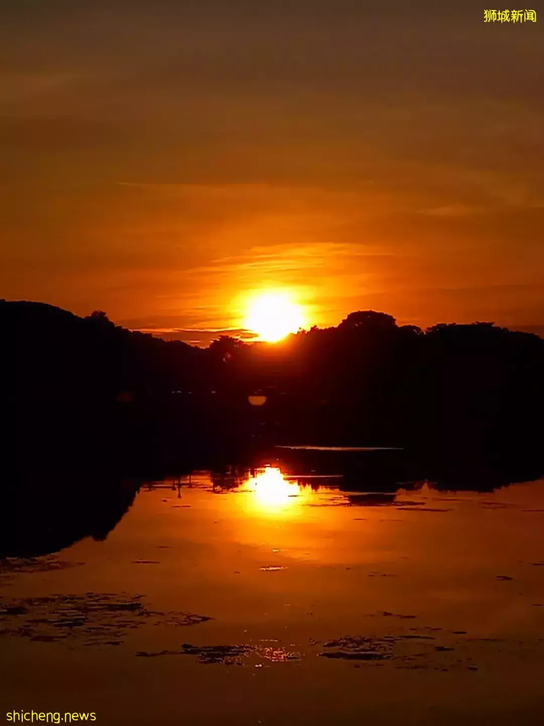 朋友圈刷屏！新加坡出現三色天空，真的是太美了