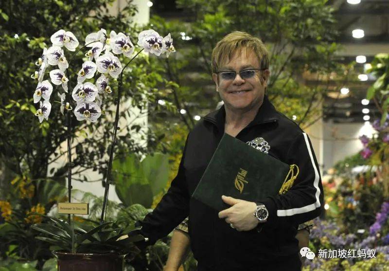 中國有桌球外交，新加坡有胡姬花外交，藏著許多鮮爲人知的有趣故事