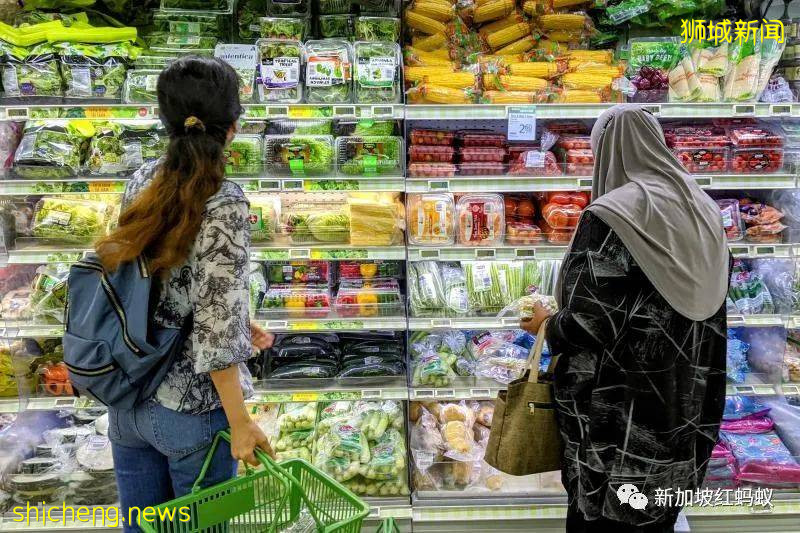 有两小孩的双亲家庭每月基本开销6426新元? 最新研究引两极反应