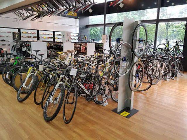 在新加坡買自行車貴嗎？從中國海運更便宜嗎