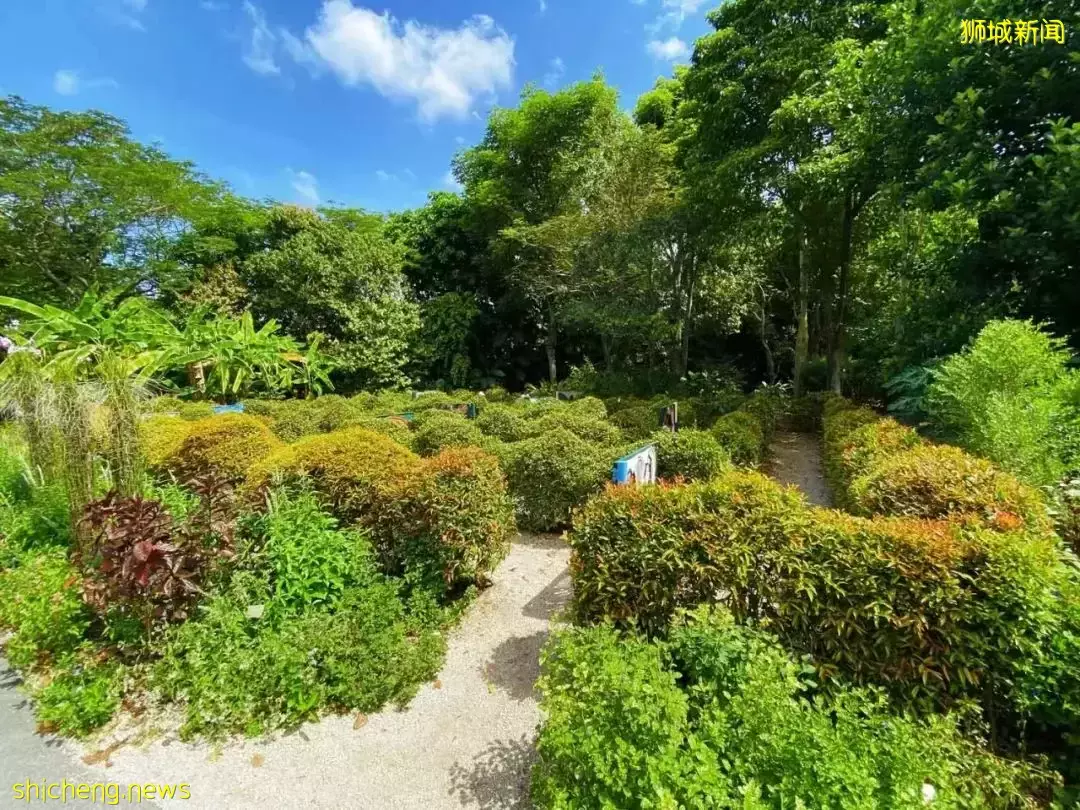 還沒安排4天長假？亞洲最大兒童花園，免費還無需預約
