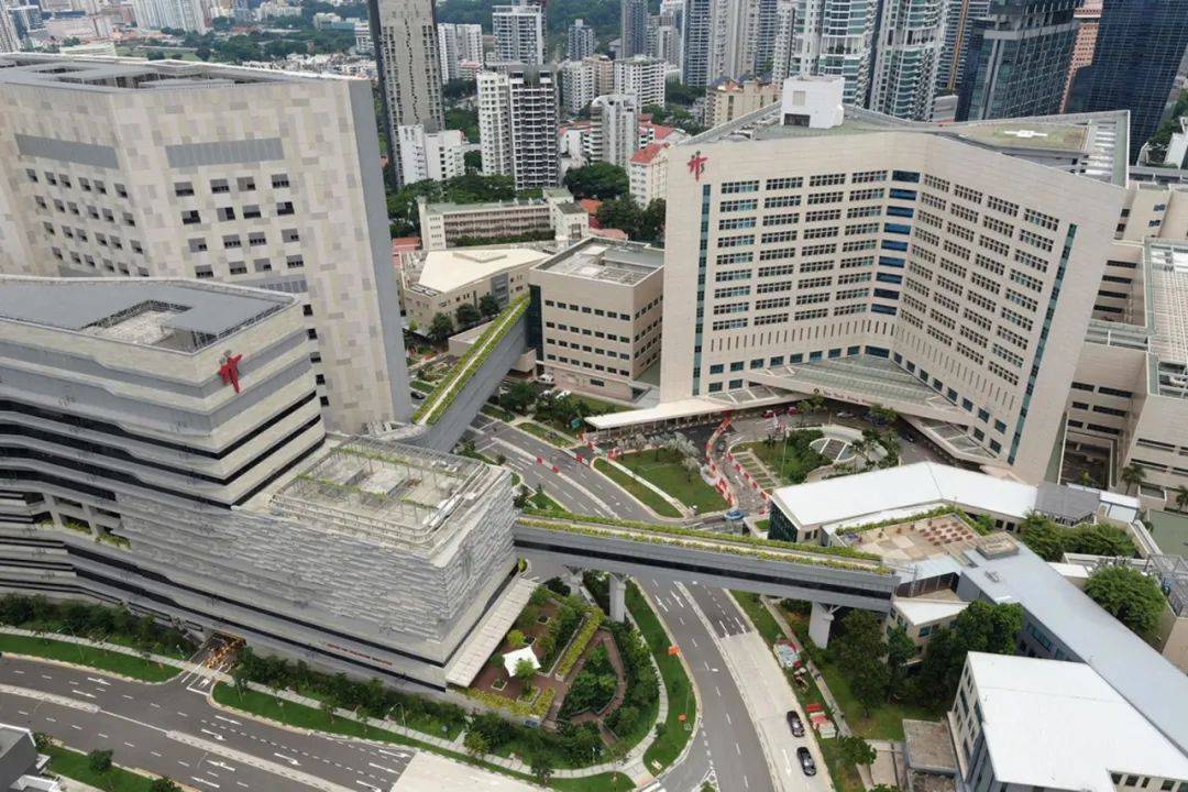 小坡島職場 新加坡最佳職場榜單出爐