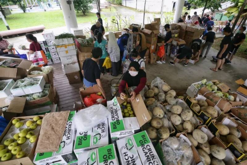 环保先锋：新加坡积极解决食物浪费问题