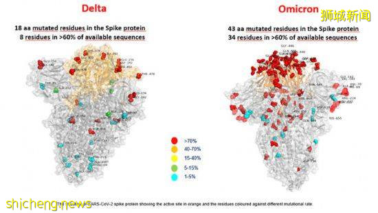 新變種“奧密克戎”遲早會來新加坡？李顯龍：或將再次收緊防疫限制