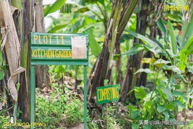新加坡有座宝藏农场，全部种植有机蔬果，周末成度假打卡圣地