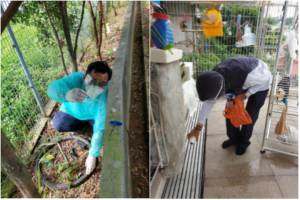 新加坡一周內的2起死亡案件