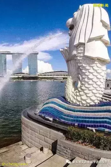 新加坡留學熱門專業盤點，就業好，認可度高