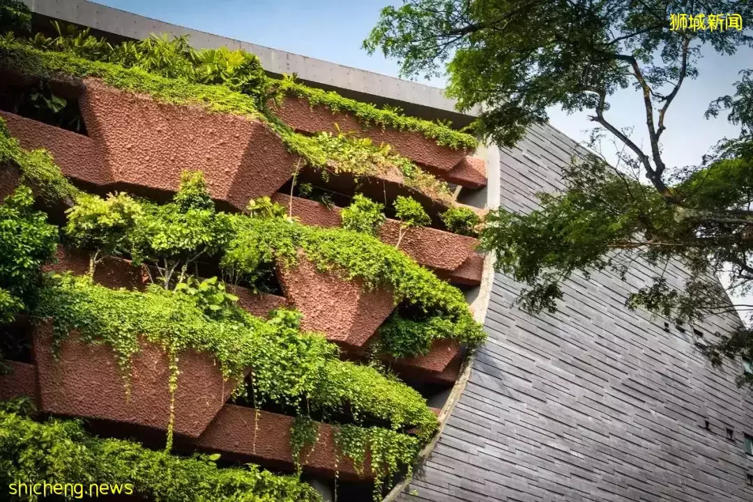 新加坡李光前自然曆史博物館 / Tierra Design (S) Pte Ltd