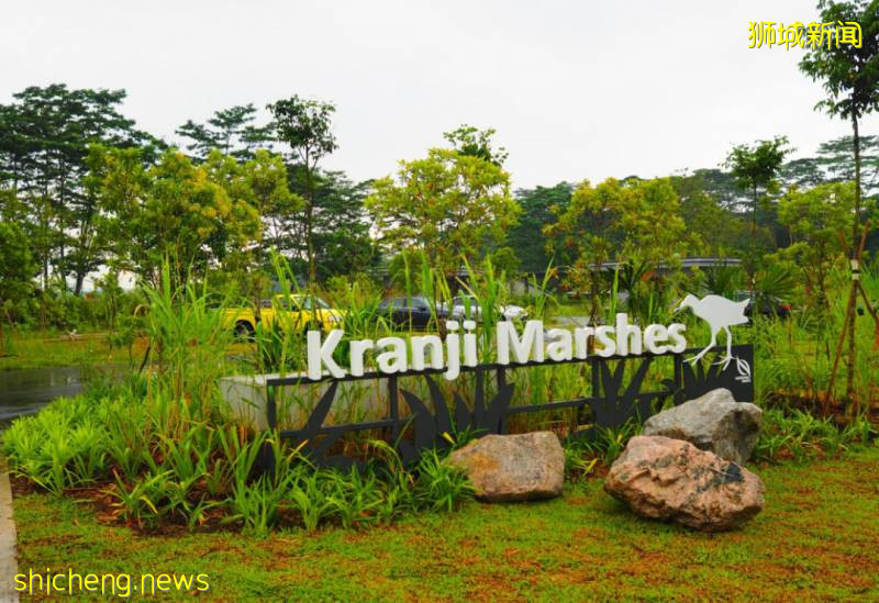 第2个周末，新加坡路上超多人！吐血推荐15个人少好玩的地方