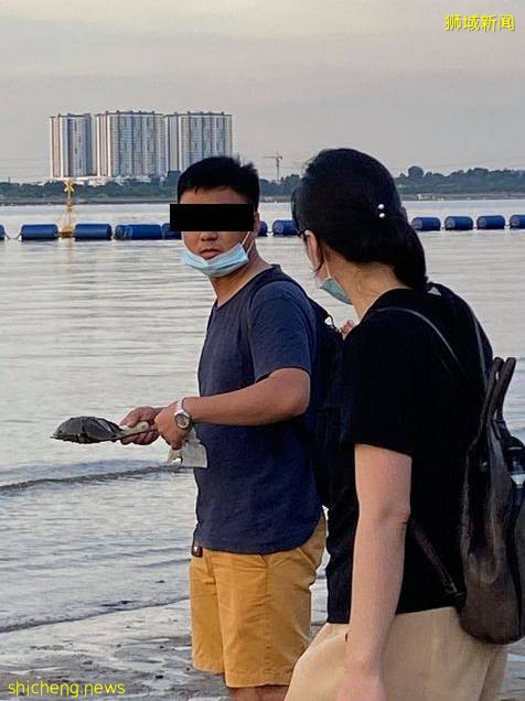 保护新加坡海洋生态，请勿随意捕捉海洋生物