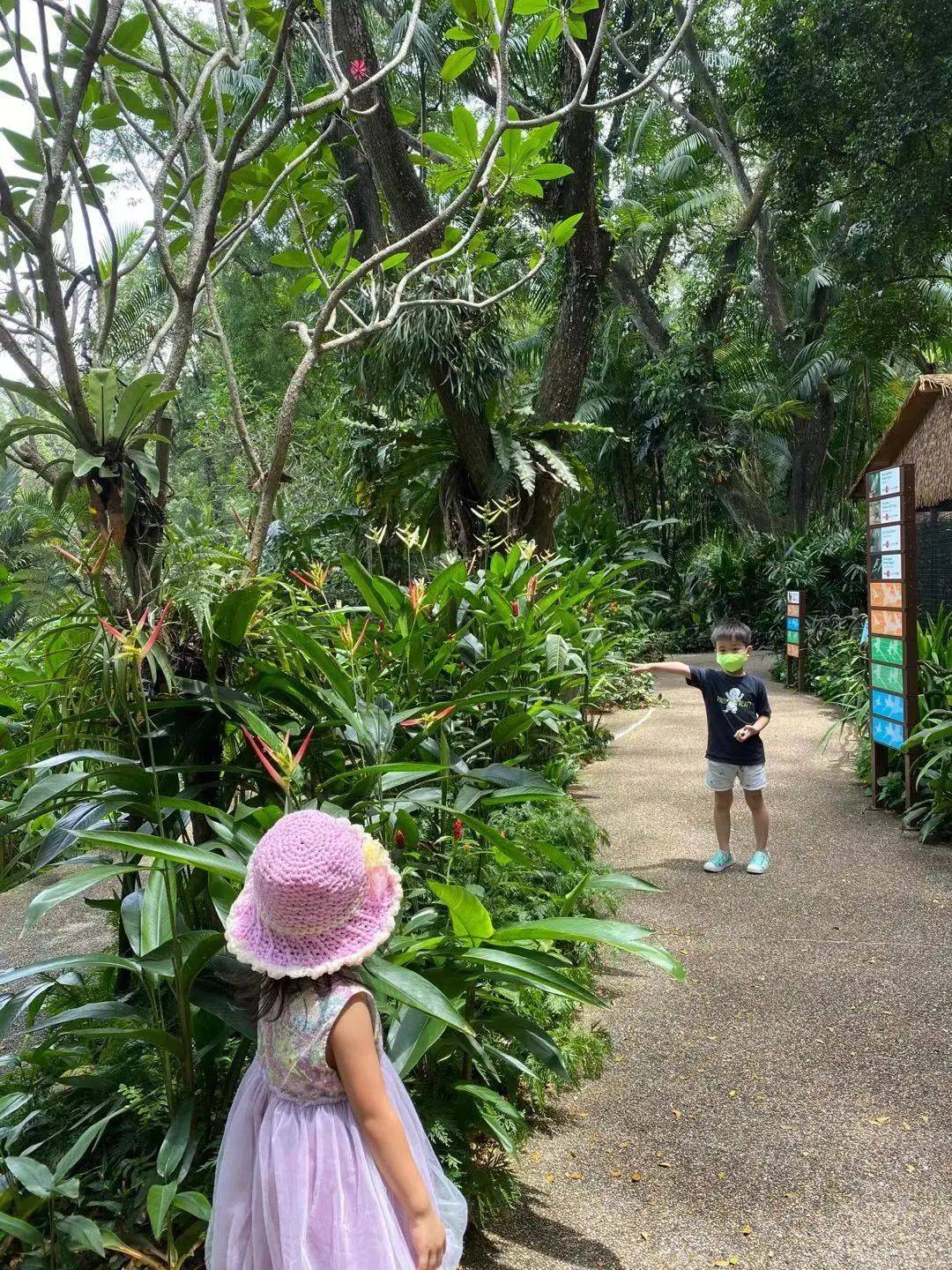 免費送票!帶倆娃嗨翻亞洲最大飛禽園,400多種5000多只鳥,一路驚喜不斷