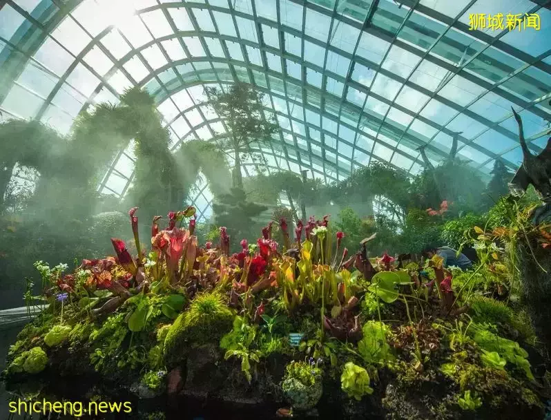 亚洲首个可“滑雪”滑水滑板场馆登陆新加坡!S.E.A海洋馆又迎全面升级