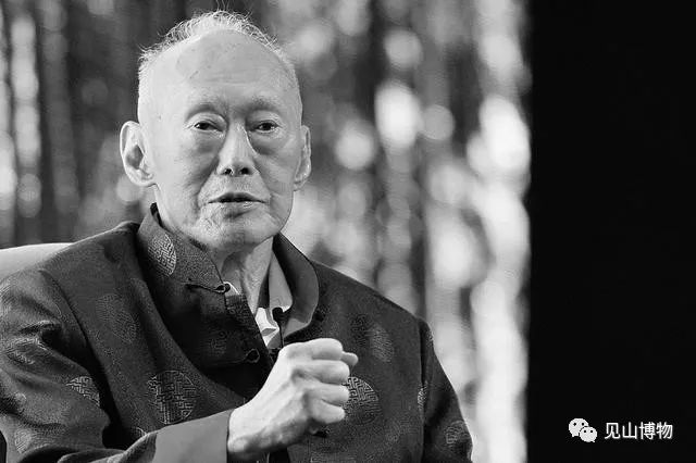 华人占新加坡75%，为何不把华语定为国语