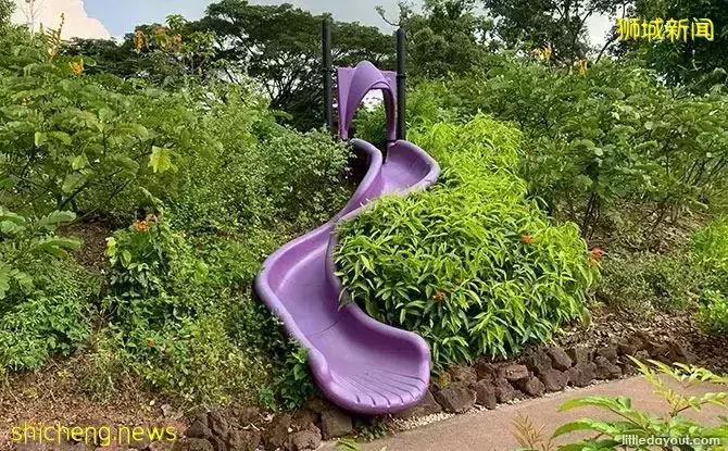 免費！新加坡最適合娃的公園，蝴蝶迷宮、沙灘小灣、瀑布、滑梯秋千