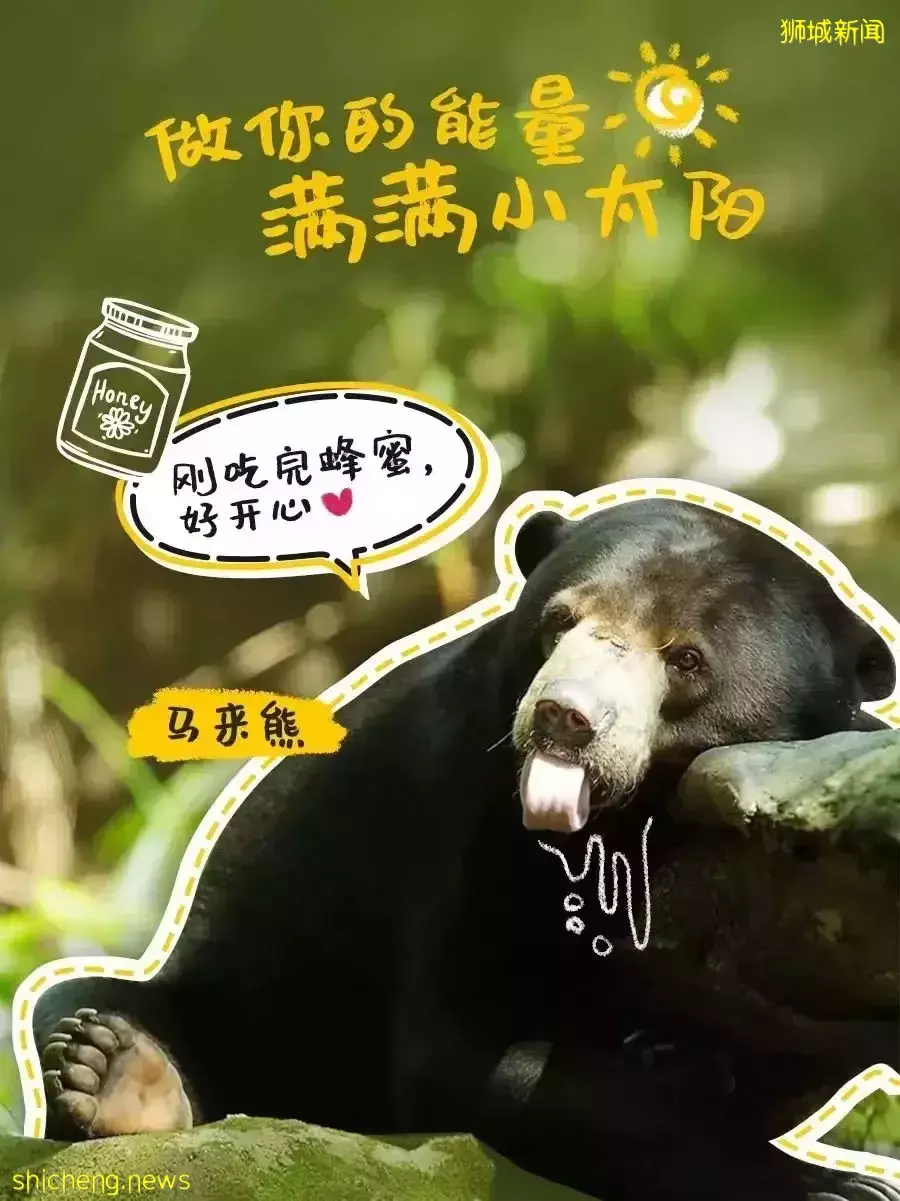 又是想去新加坡旅游的第N+1天！先收藏这份‘新加坡旅行攻略’来解馋吧