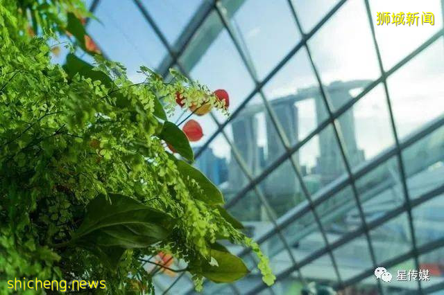 多味缤紛新加坡，旅遊攻略收藏貼