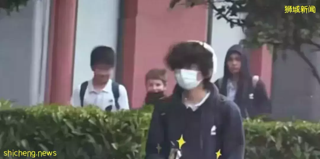 全網熱議！吳尊送娃去中國上學，張柏芝離開坡回上海定居！新加坡不香了