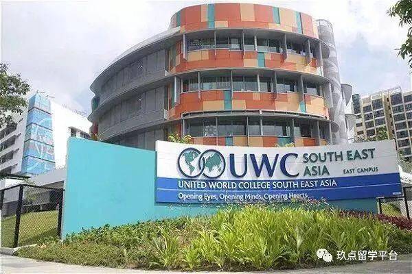 国内的国际学校VS新加坡的国际学校