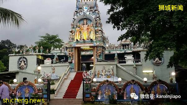 社區15! 新加坡兩座組屋無人確診,卻在汙水中發現病毒碎片