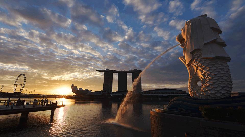 新加坡的这些顶级国际学校超受中国家长追捧,快来看看如何申请