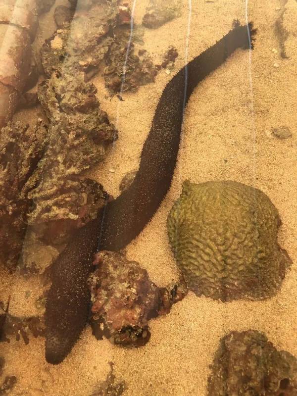 精彩国内游:新加坡南部岛屿休闲之旅