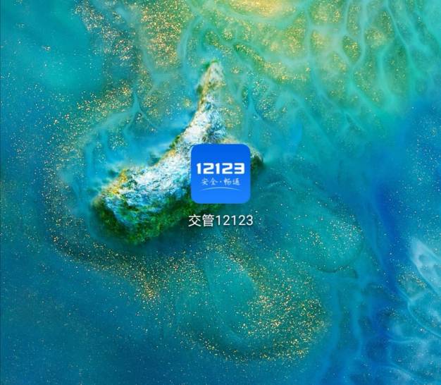 人在新加坡，國內駕照到期怎麽辦？手把手教你線上5分鍾延期換證